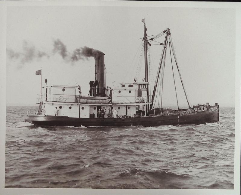 Tender ship