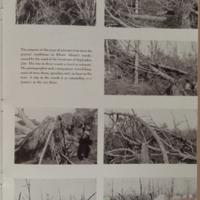 38charlestown0029.jpg